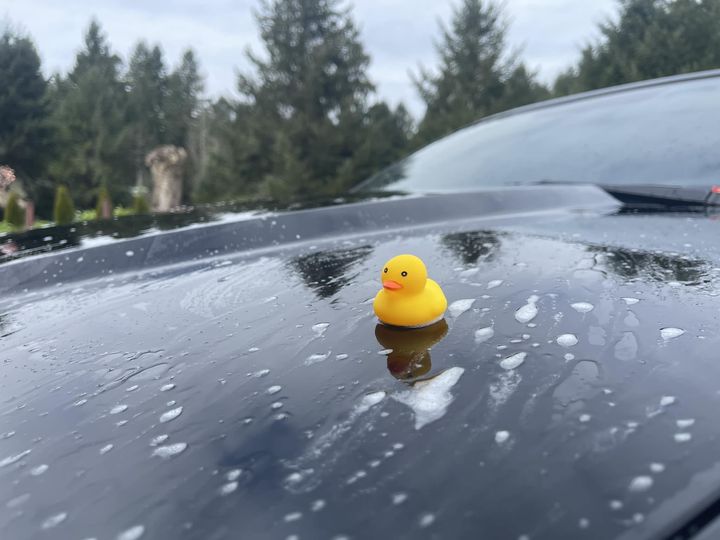 Duck Detail  Ceramic Coatings and Detailing in Eugene, OR